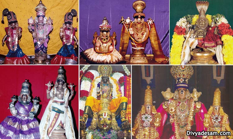 Hindu Deity Idol Worship