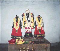 Sri Karumanickam Perumal - Karumbur