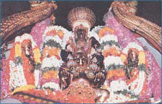 Thirunarayanapuram - Thiru Narayanan Temple, Melkottai - Vairamudi Sevai