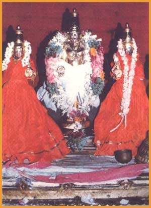 Azhwar Thirunagari - Vaikaasi Visaakam Uthsavam
