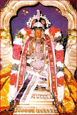 Sri Sowriraja Perumal - Thiruk Kaannapuram