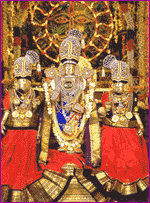 Tirumala - Sri Srinivasar