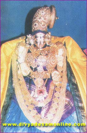Tirucchanoor - Sri Padmavati Thaayar