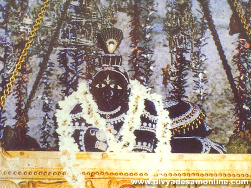 Sri Navaneetha Krishnar - Doddamallur