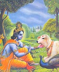 Sri Krishnar  with Calf