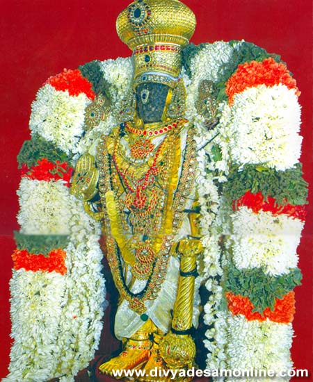 Sri Parthasarathy, Triplicane