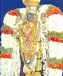 Sri Parthasarathy, Triplicane