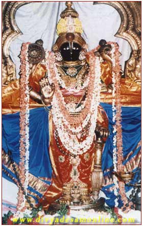 Thirunarayanapuram - Thiru Narayanan