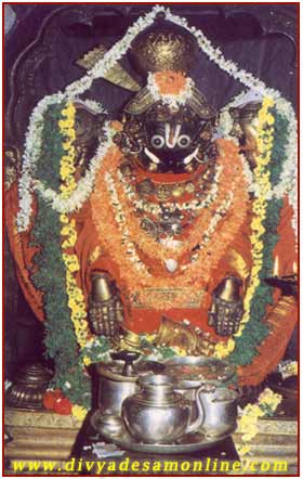 Thirunarayanapuram - Sri Narasimhar