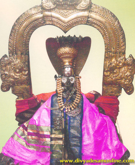 Swamy Manavala Maamunigal, Kanchipuram