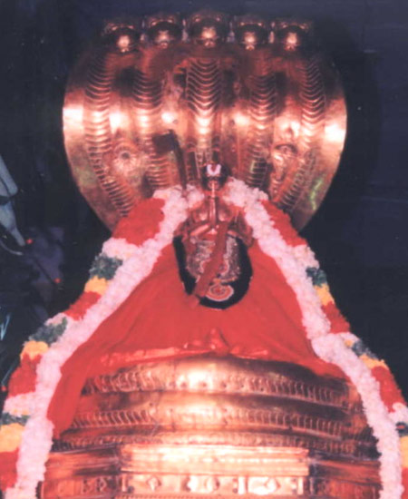 Swamy Manavala Maamunigal, Nanguneri - Vaanamamalai