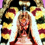 Swamy Manavala Maamunigal, Srivilliputhoor