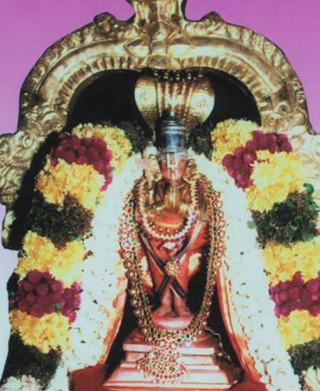 Swamy Manavala Maamunigal, Srivilliputhoor