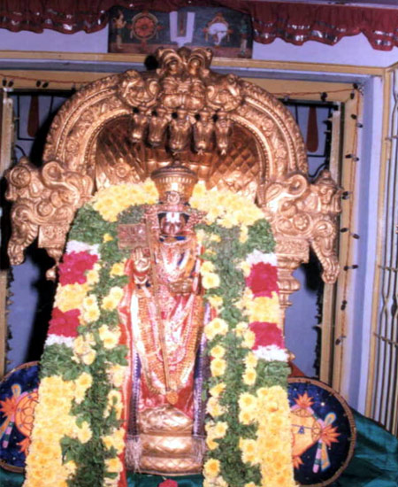 Swamy Manavala Maamunigal, Tirumalai - Tirupathi