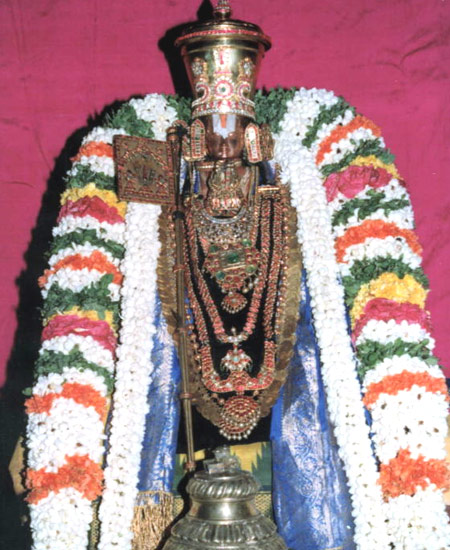 Swamy Manavala Maamunigal, ThiruAllikKeni (Trplicane)