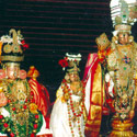 Sri Varadhar Temple, Kanchipuram Divyadesam