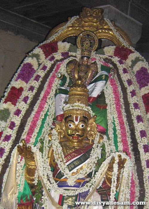 Sri Thaadalan - Sirgazhi Temple