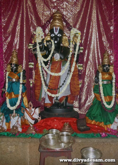Sri Venugopalan - Moolavar, Pushkar Temple