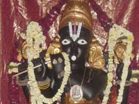 Sri Venugopalan - Moolavar, Pushkar Temple