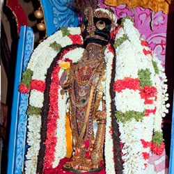 Sri Parthasarathy, Triplicane Temple