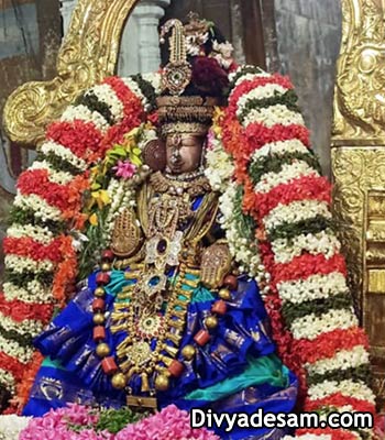 Sri Perundevi Thayar - Kanchipuram
