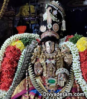 Sri Saranayaki Thayar - Tirucherai