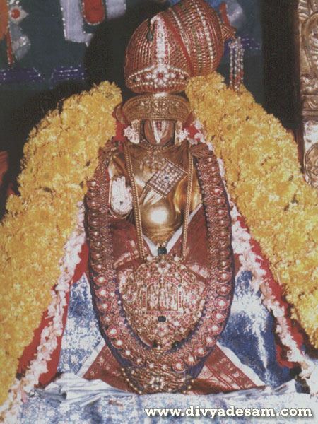 Swamy Nammalwar, Alwar Thirunagari Temple