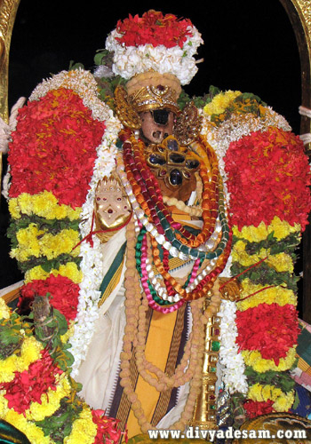Sri Ranganathar, Srirangam - Pavithra Utsavam