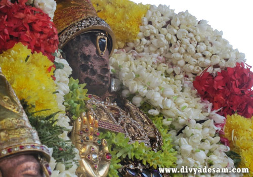 Swamy Varadharajar, Kanchipuram