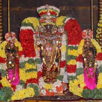 Thiruvallikeni Sri Parthasarathy Perumal