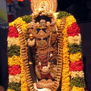 Sri Sowmya Narayana Perumal