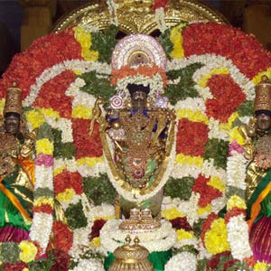 Sri Sowmya Narayana Perumal