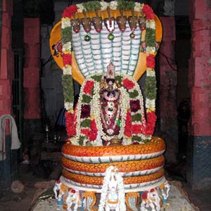 Sri Sowmya Narayana Perumal - Sesha Vaganam