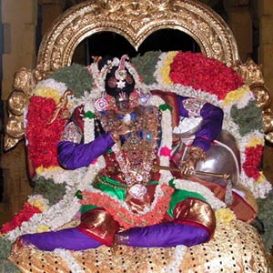 Sri Sowmya Narayana Perumal - Vennai Thaazhi Thirukkolam