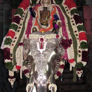 Sri Sowmya Narayana Perumal - Yaanai Vaganam