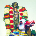 Sri Madhava Perumal, Mylapore, Hamsa Vaganam