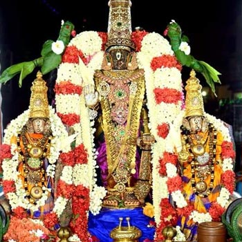 Triplicane Divyadesam Sri Parthasarathy