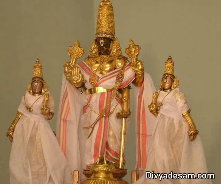 Sri Parthasarathy Swamy Utsavar, திருவல்லிக்கேணி பார்த்தசாரதி கோயில் Sri Parthasarathy Swamy Utsavar, திருவல்லிக்கேணி பார்த்தசாரதி கோயில்