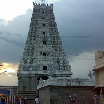 Thiruputkuzhi - Arulmigu Vijayaraghava Perumal Thirukovil