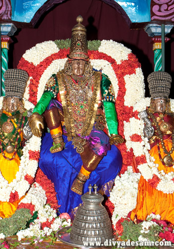 Sri Azhagiyasingar - Triplicane Divyadesam