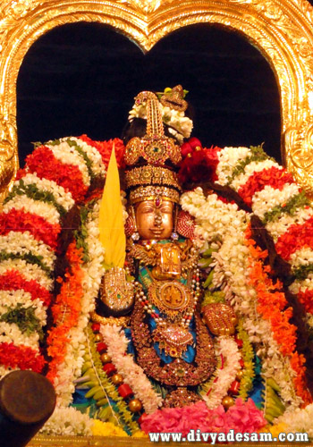 Sri Perundevi Thayar - Kanchipuram Temple