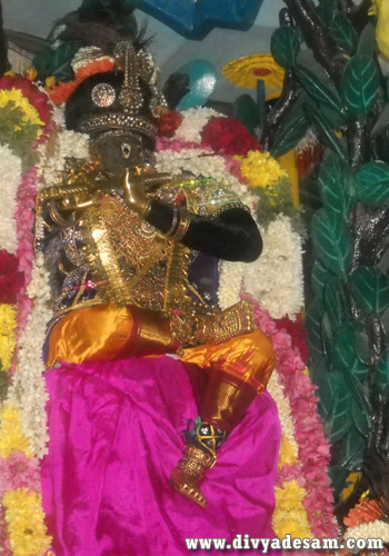 Sri Parthasarathy Temple - Chennai Divyadesam