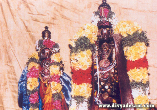 https://www.divyadesam.com/photos/may-2010/hindu-gods-images/sri-vayalali-manavalan-thiruvaali.jpg