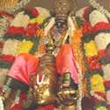 Sri Parthasarathy Perumal - Garuda Sevai