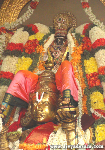 Sri Parthasarathy Perumal - Garuda Sevai