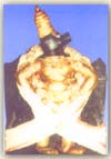 Sri Mushnam - Bhoovaragha Murthy