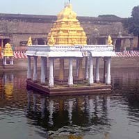 Anantha Saras Pushkarini, Sri Varadharaja Perumal Temple, Kanchipuram Temple